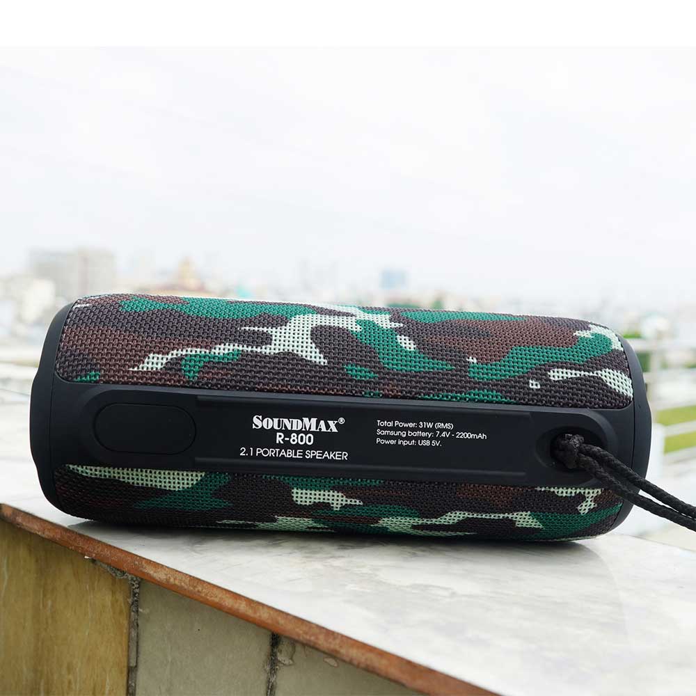 Loa SoundMax di động R-800