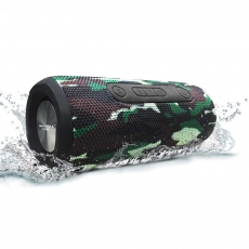 Loa SoundMax di động R-800